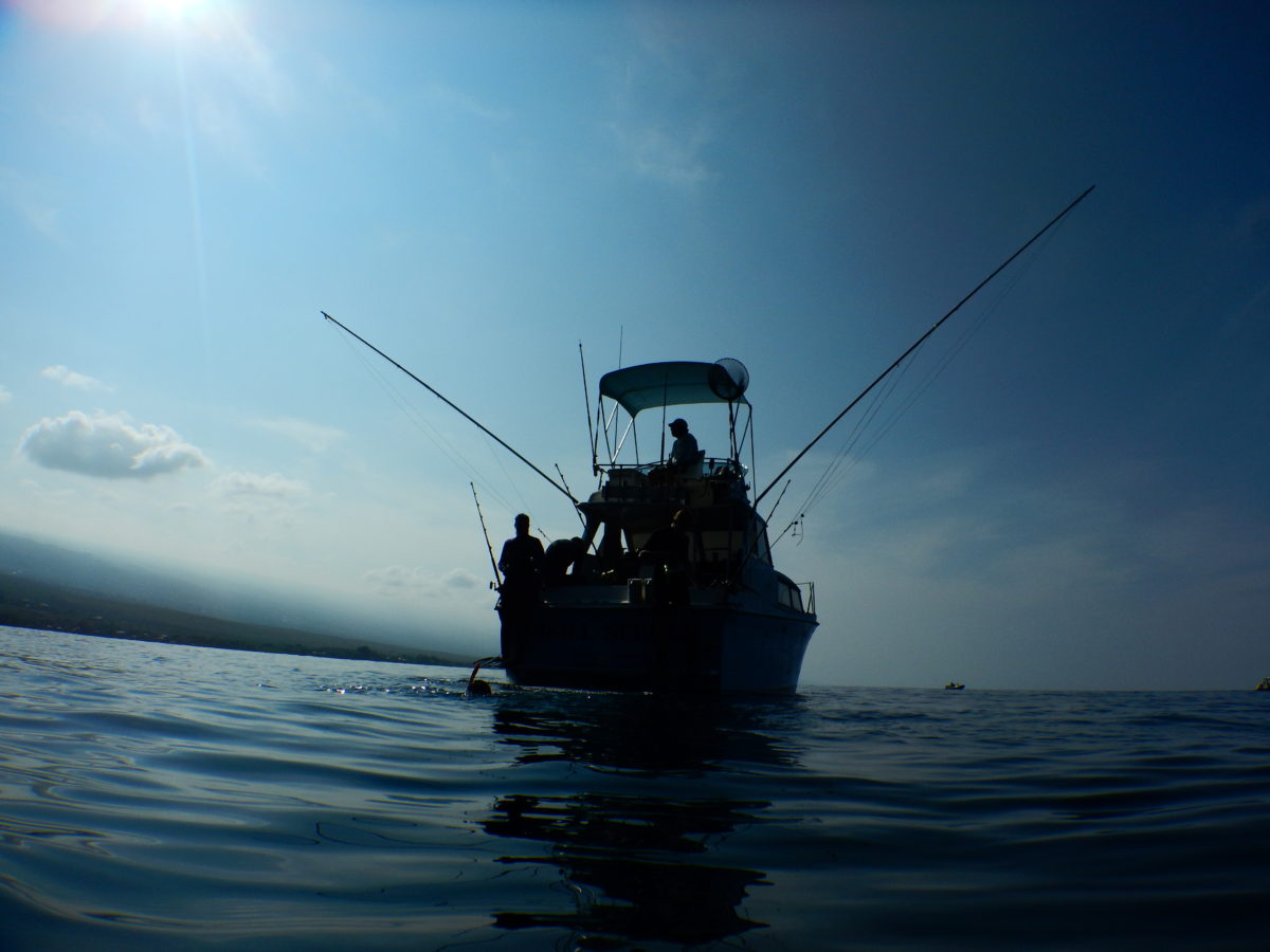 Fishing trip and Snorkeling at Captain Cooks Cove