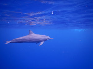 dscn5704