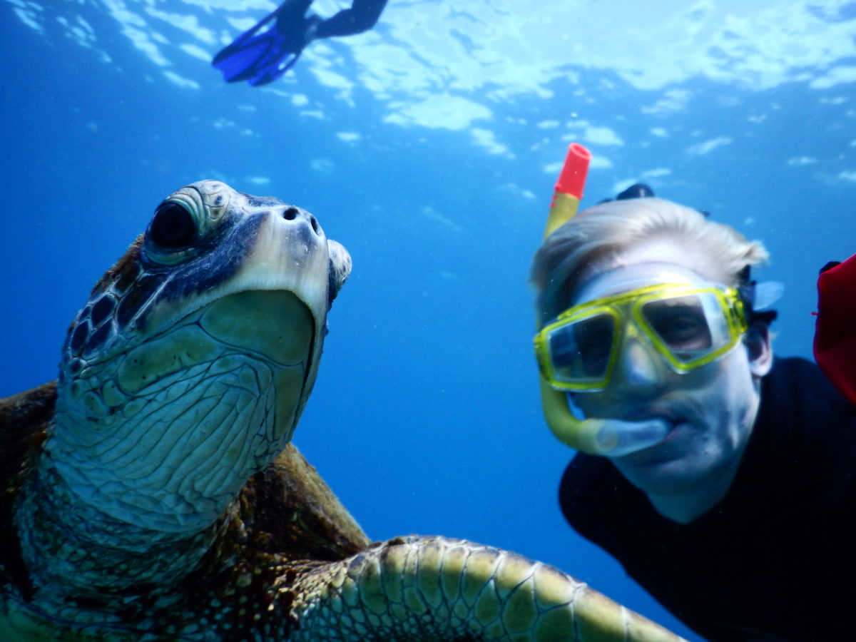 Turtle Selfie!