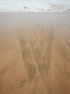 dscn7873